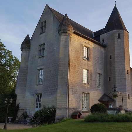 Chateau De Re Le Petit-Pressigny 外观 照片