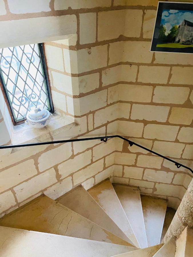 Chateau De Re Le Petit-Pressigny 外观 照片