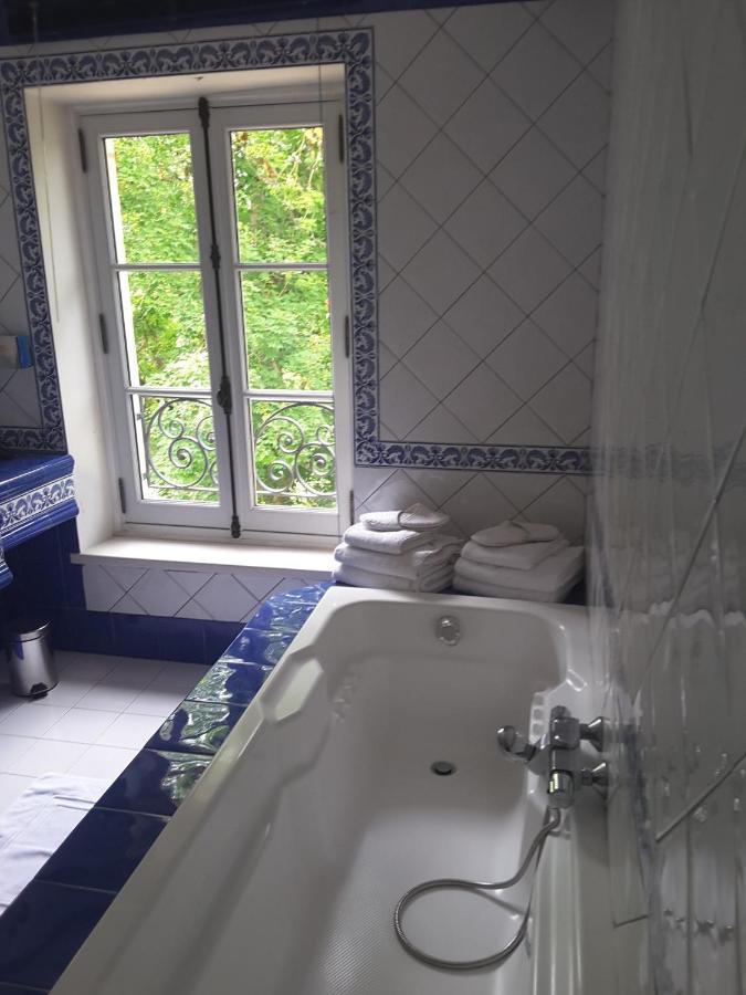 Chateau De Re Le Petit-Pressigny 外观 照片