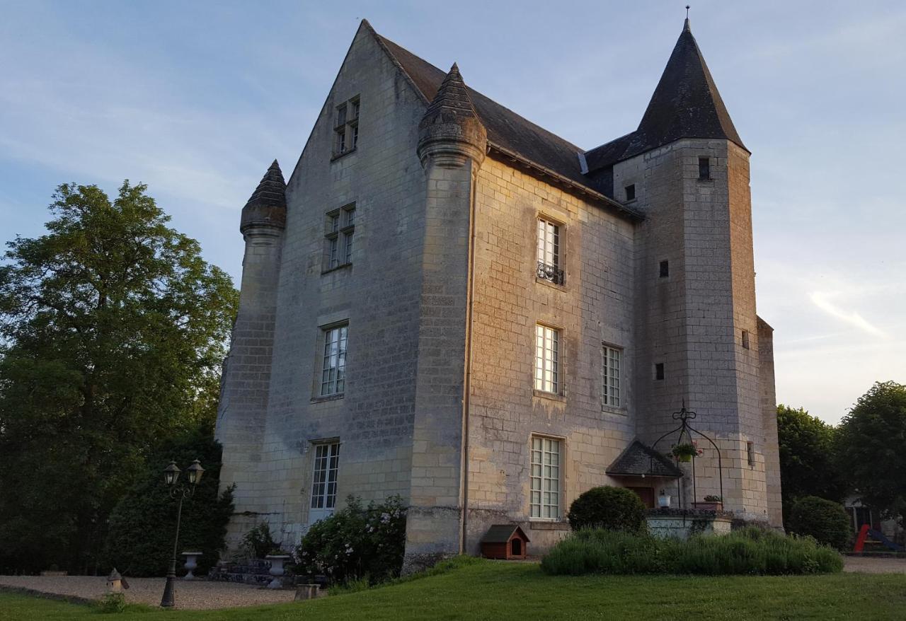 Chateau De Re Le Petit-Pressigny 外观 照片