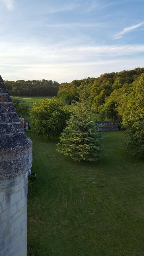 Chateau De Re Le Petit-Pressigny 外观 照片